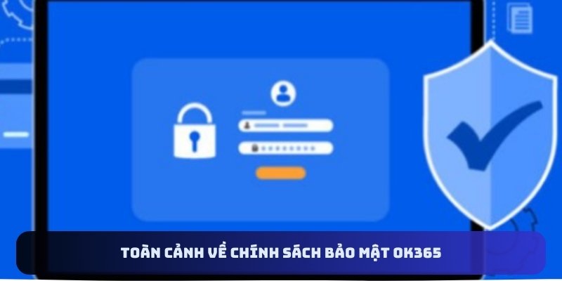 Toàn cảnh về chính sách bảo mật OK365