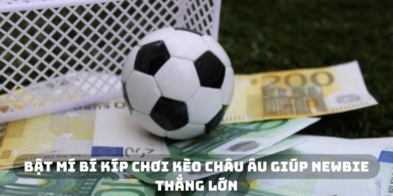 Bật mí bí kíp chơi kèo châu Âu giúp newbie thắng lớn