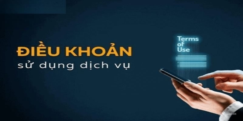 Quyền lợi nhận được trong điều khoản điều kiện Ok365